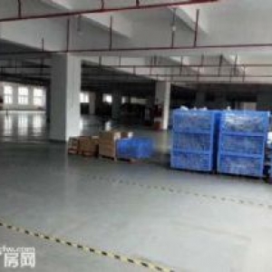 东凤同乐工业区楼上1000方出租 已过消防 配套全 现成办公水电 精装修