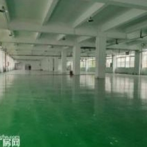 东凤 独门独院2000平厂房出租，水电齐全，价格实惠