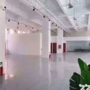 保定经开区全新厂房出售 6000一平 可分割50年独立产权 有环评 配套宿舍食堂