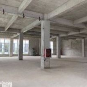 大产权 独栋厂房 可贷款 仅需40万 企业落户自贸区