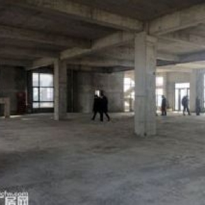 保定厂房出售 轻钢厂房/框架厂房