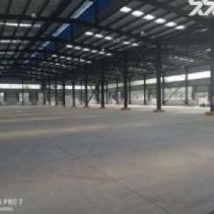 龙泉5700单层钢结构新厂房出租可分租