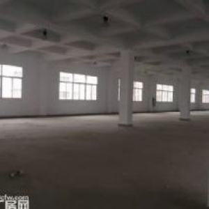 独栋混凝土结构标准工业厂房出售