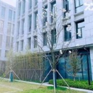 小三层 独门独院 50年产权 全新标准框架结构工业厂房出售 高速口 先到先得
