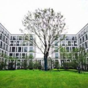 40米主干道 最小楼间距20米 花园别墅式工业厂房出售 可分割 50年独立产权