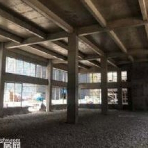 50年独立产权  国土红本  地铁旁 高端智能装备产业园