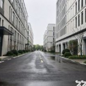 (出售)花园独栋！政策扶持！地铁口配套齐！50年产权。