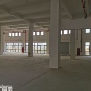 新松机器人产业园5000平厂房招商，高度7.2米，厂房内利用空间大，交通物流便利