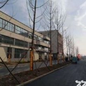 【专业产业园】中南高科建设运营，标准独栋，有产权