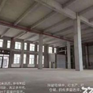 伊滨区产业园，50年产权，办公生产科研，办环评