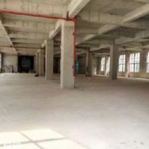 邕宁独栋标准厂房出售，50年产权，可按揭低首付