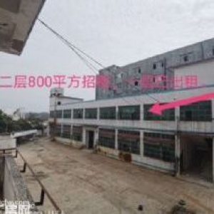 惠安洛阳旁厂房出租，交通便利