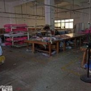 浮桥坂头工业区一楼厂房可做生产或仓库
