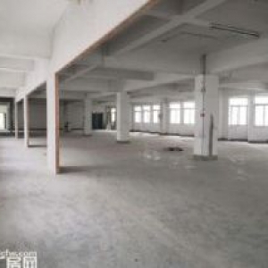 城东南浦工业区整栋厂房诚意出租一万平城东 洛江 有意向联系