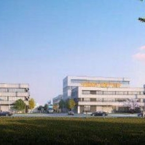 最后绝版标准厂房  占地1000亩可依需求提供企业定制厂房