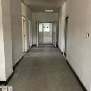 沈北区道义6000平举架8米办公750可分租手续全形象好交通方便