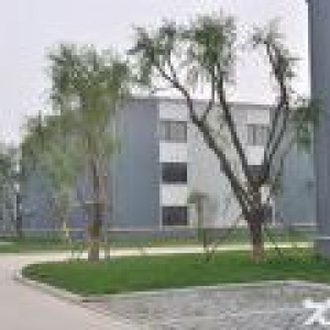 厂房库房办公楼300−2000平价格便宜租售均可