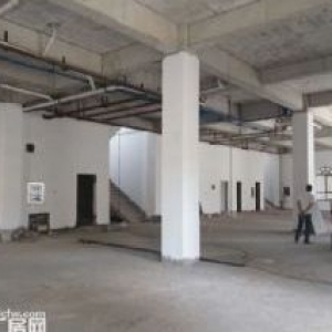 于洪二环外办公楼出租 3250平 适合办公、培训等