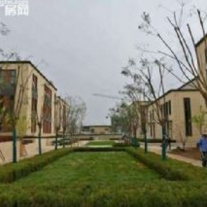 沈北1500平厂房出售