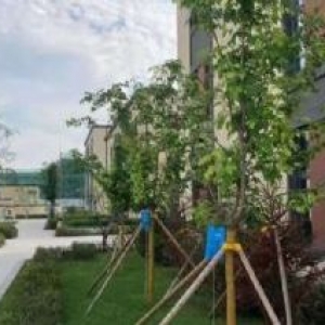 铁西花园式厂房出售，面积：780−3000平，单价低，付款方式灵活！！！