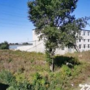 新民304国道厂房14000平出售，总占地30亩，工业用地加建设用地，动力电50