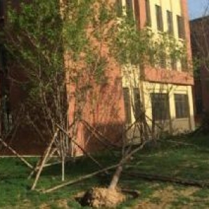 沈北联东U谷工业园厂房出租出售手续齐全租售均可