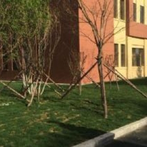 正规园区厂房出租出售价格便宜手续齐全