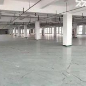 全新15000㎡六层独栋厂房招商中，政府补贴，可分层分割出租，免租免税