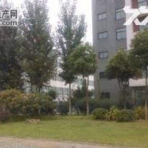 武汉吴家山九通路企业产权42亩园区1.6万方钢构整体出租/出售