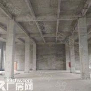 黄家湖大道4000平独栋厂房开发商直售，独立产权，付款方式灵活，通风采光好