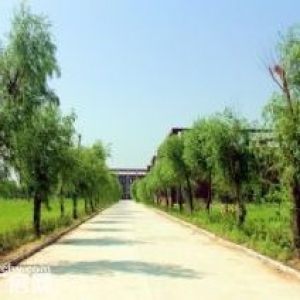 大荔县园林式工业园区厂房办公楼出租住宿餐饮配套齐全