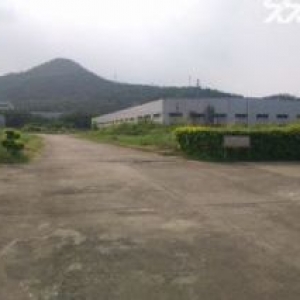 标准厂房26000平，15000平，20000平出租（可分租）