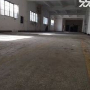 出租湖里枋湖工业园1150来标准厂房