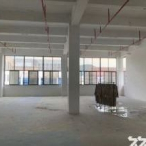 整栋可出租 一楼2300平 有卸货台 大车可进 行业多样