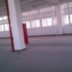 独门独院标准厂房 钢构厂房出售