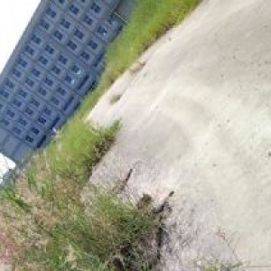 独门独院50000平米或者180亩出售