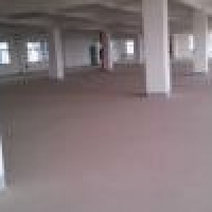 独门独院标准厂房2000元1平米