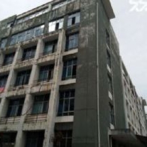 同安工业集中区独栋厂房1万平出售