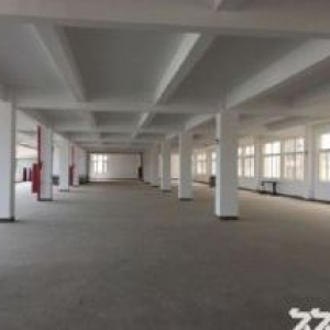 6200平三层可分屋出售每层2063平