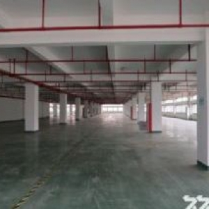 独门独院20000平面标准出售厂房过户交易