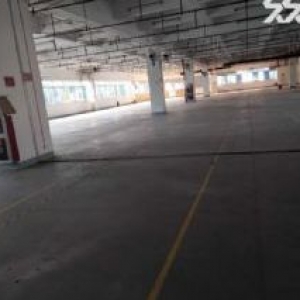 独门独院10亩地建7200平米2500万