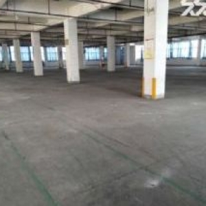 标准厂房4楼5楼出售2900元1平米