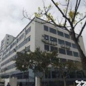 翔安独门独院110亩建设45000平方框架厂房出售