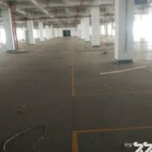 同安独门独院标准食品厂房38659平方出售