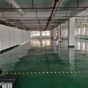 环东海域年租金69万四五楼经典高租金厂房出售欢迎长期持有