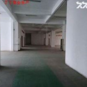 西高新锦业二路正常4100平1840平1360平600平研发楼厂房诚意出租！