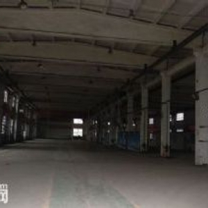 出租标准整体厂房2737平便宜出租停车方便大货车进入方便