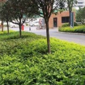 沣东新城标准工业园区政府示范工业园1000平