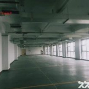 高新瞪羚谷800平1000平1700平2800平办公厂房