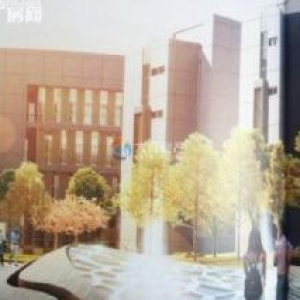 高新区研发总部 独立四层 带电梯屋顶花园 7000元/㎡